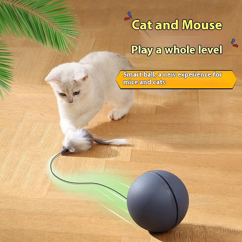 Automatic Electric Cat Teaser Ball - Intelligent Interactive Toy (Bestseller)