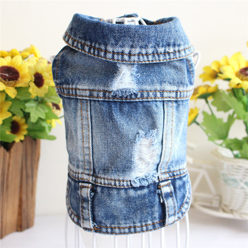 Designer Denim Dogwear