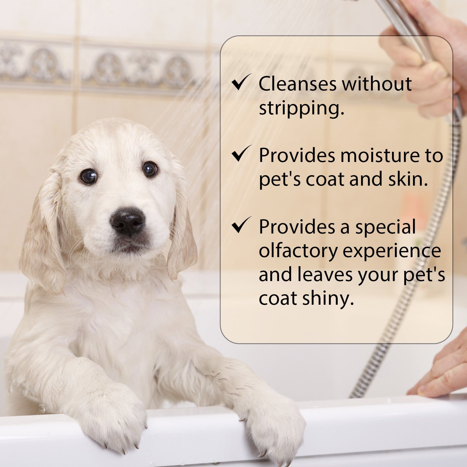 Gentle Cleansing Pet Shampoo - Soft & Tangle-Free Coat