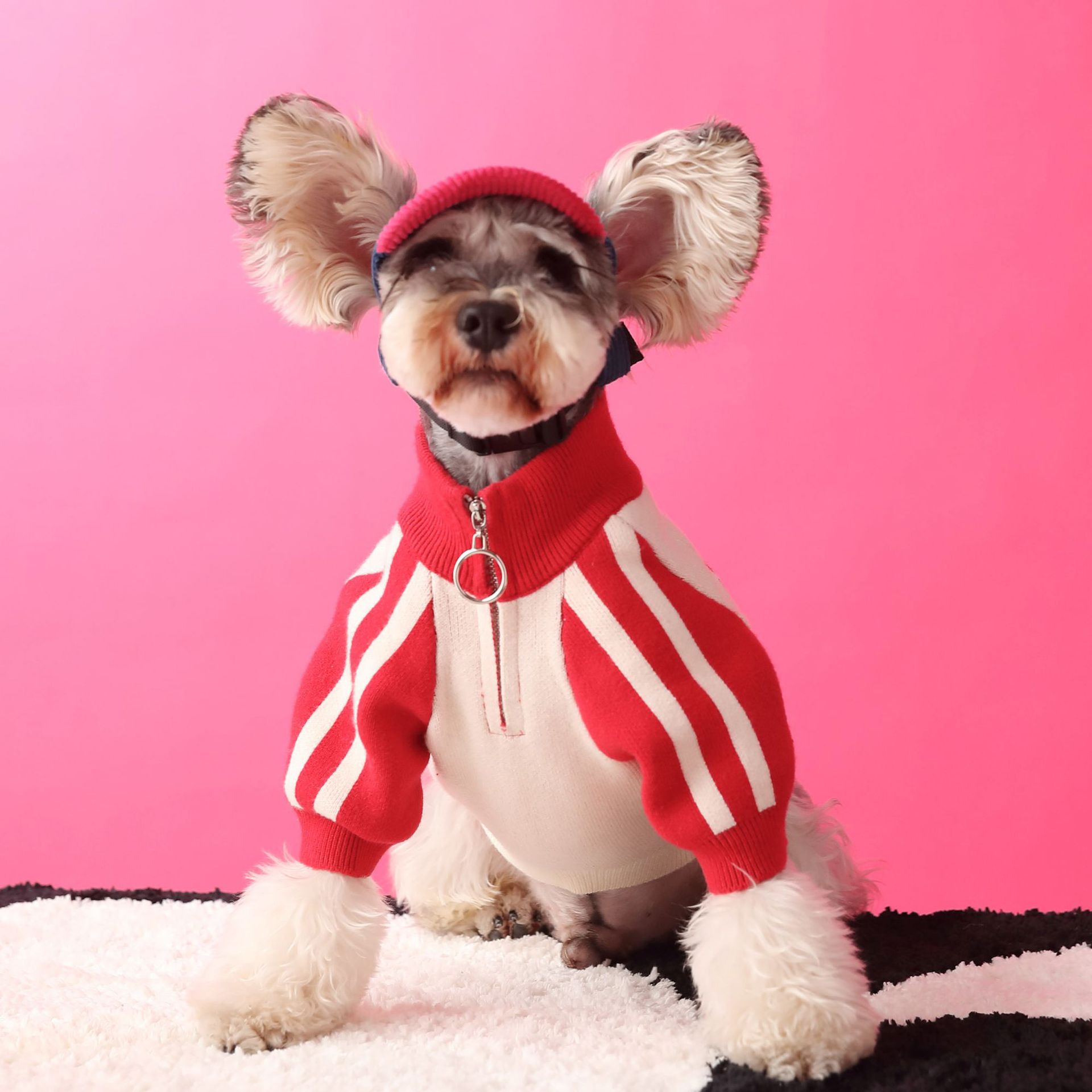 Sports Wool Dog Cardigan - Casual Style Pet Clothing