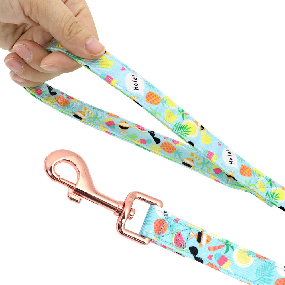 Colourful PupFruit Dog Collar & Leash Set