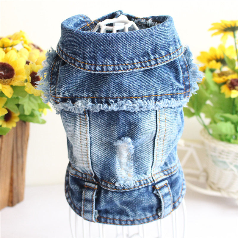 Designer Denim Dogwear