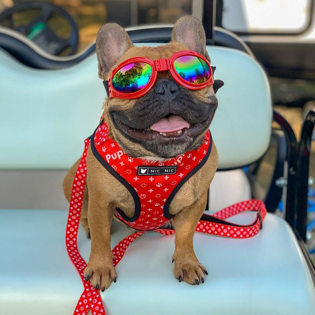 RedPooch Dog Harness | Harness, Lead or Set | S–XL