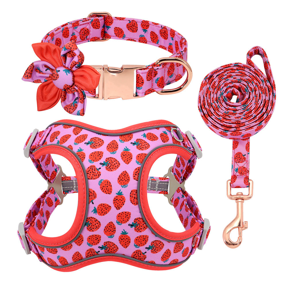 Colourful PupFruit Dog Collar & Leash Set