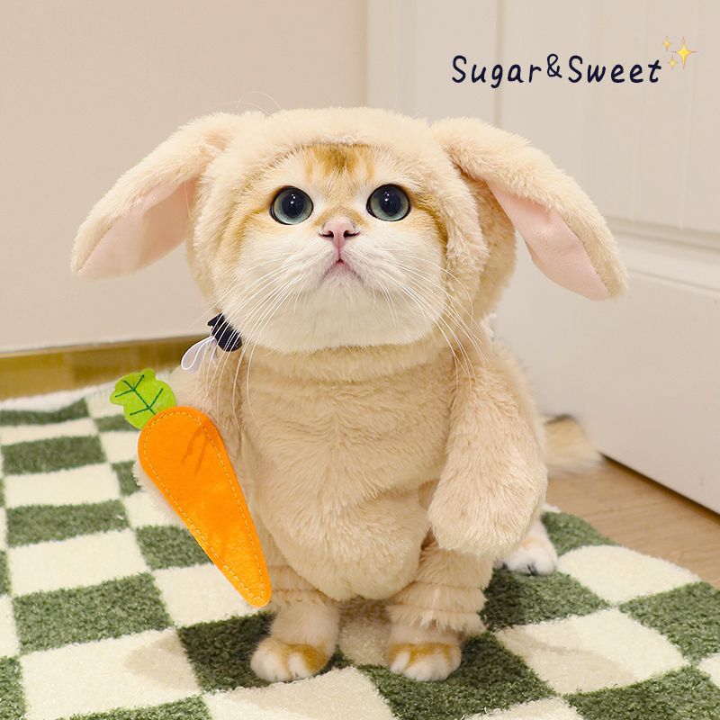 Funny Rabbit & Panda Pet Costume with Leash - Carrot & Bamboo Designs