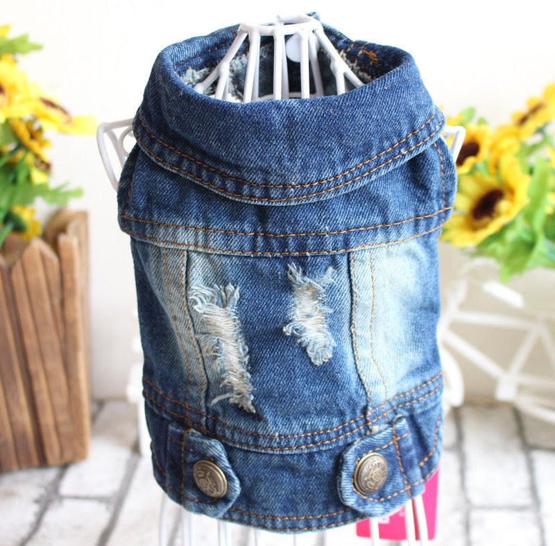 Designer Denim Dogwear