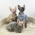 Flannel Thermal Four-Legged Jacket for Hairless Cats - Sphinx & Naked Breeds