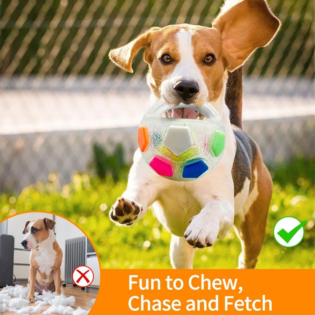Crazy Ball Squeaky Dog Toy - Durable Teething & Training Toy for Medium to Large Dogs