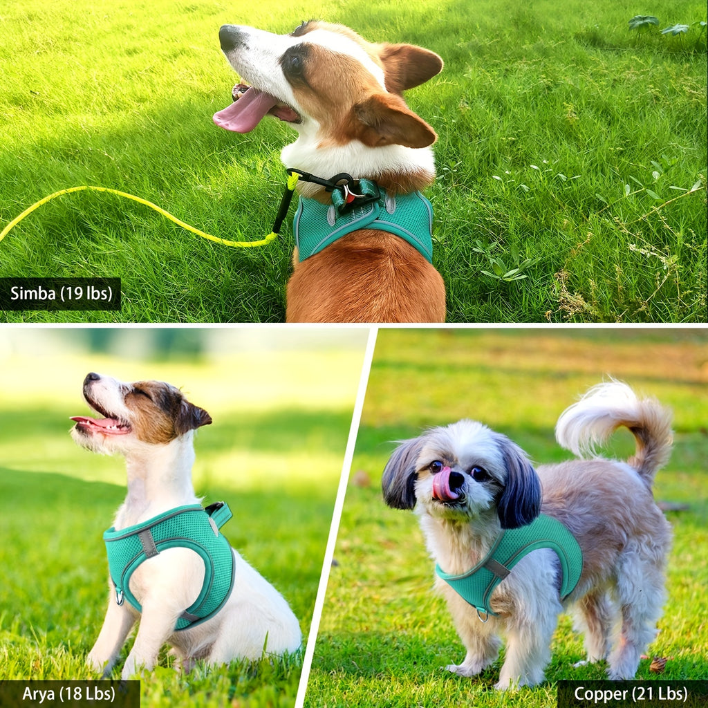 Joytale Step in Dog Harness and leash Set,Reflective Soft Padded Nylon Leash,Breathable Mesh Vest Harness and Leash for Small and Medium Dogs