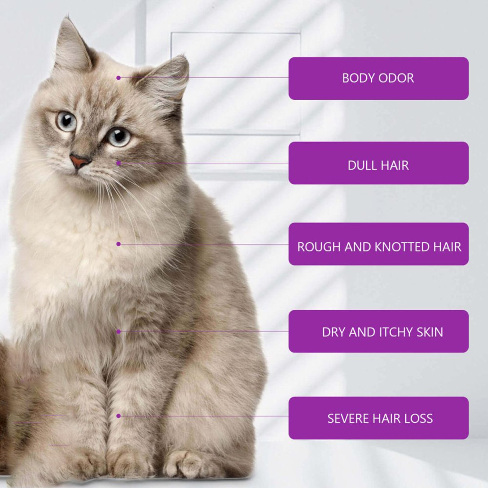 Anti-Itch Pet Shampoo