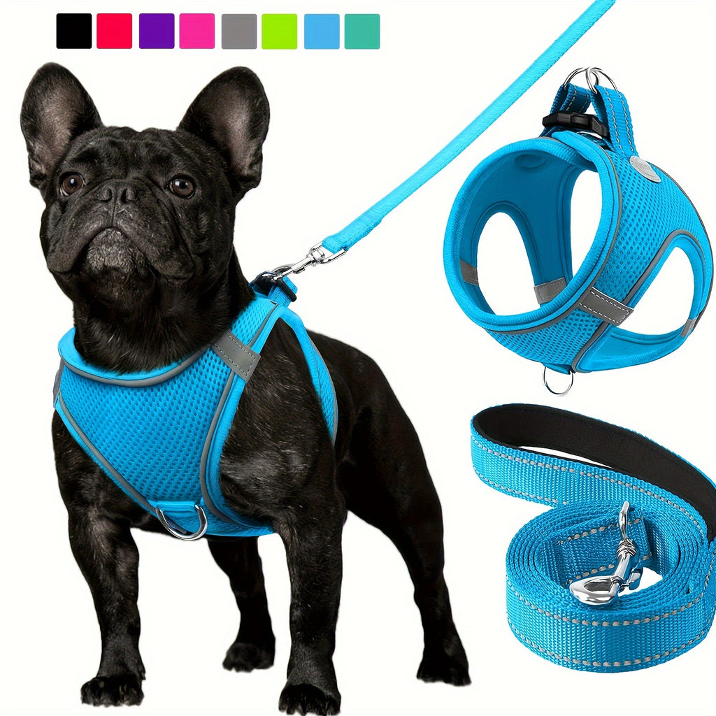 Joytale Step in Dog Harness and leash Set,Reflective Soft Padded Nylon Leash,Breathable Mesh Vest Harness and Leash for Small and Medium Dogs