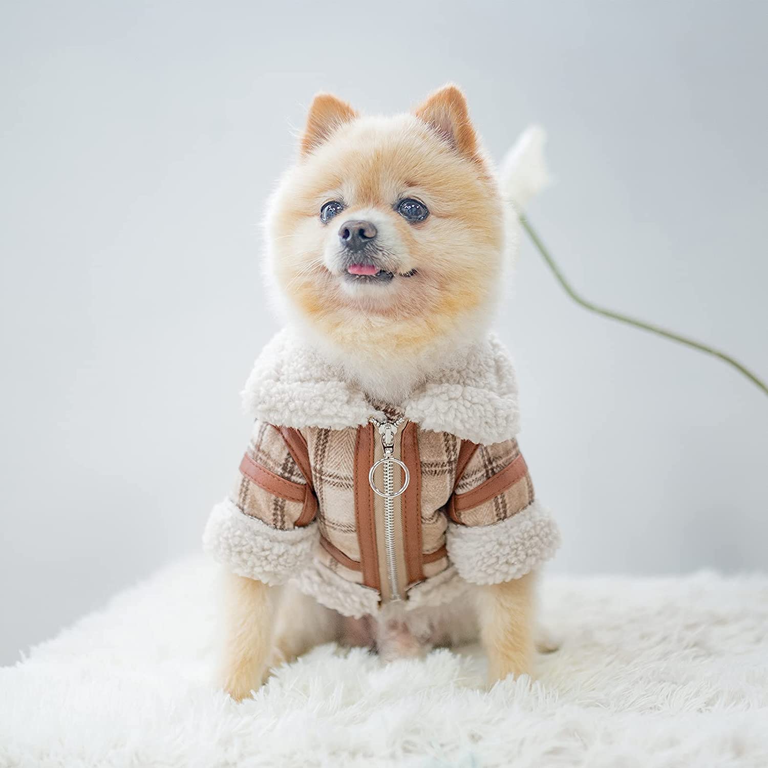 DogLuxe Plaid Lamb Velvet Jumper - Cosy Two-Legged Winter Top