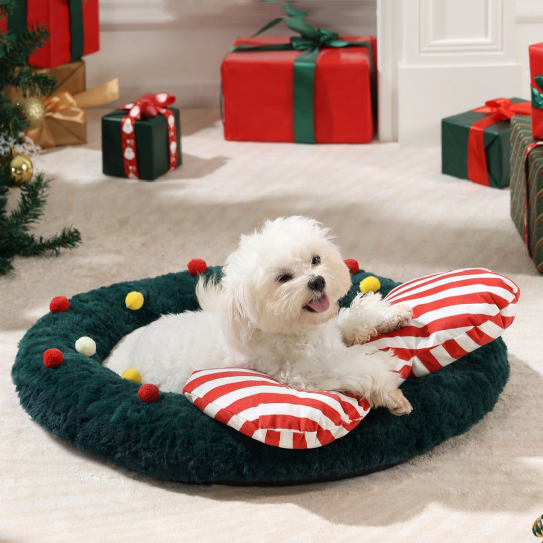 Christmas Pet Mat | PP Cotton Filled | 3 Festive Designs