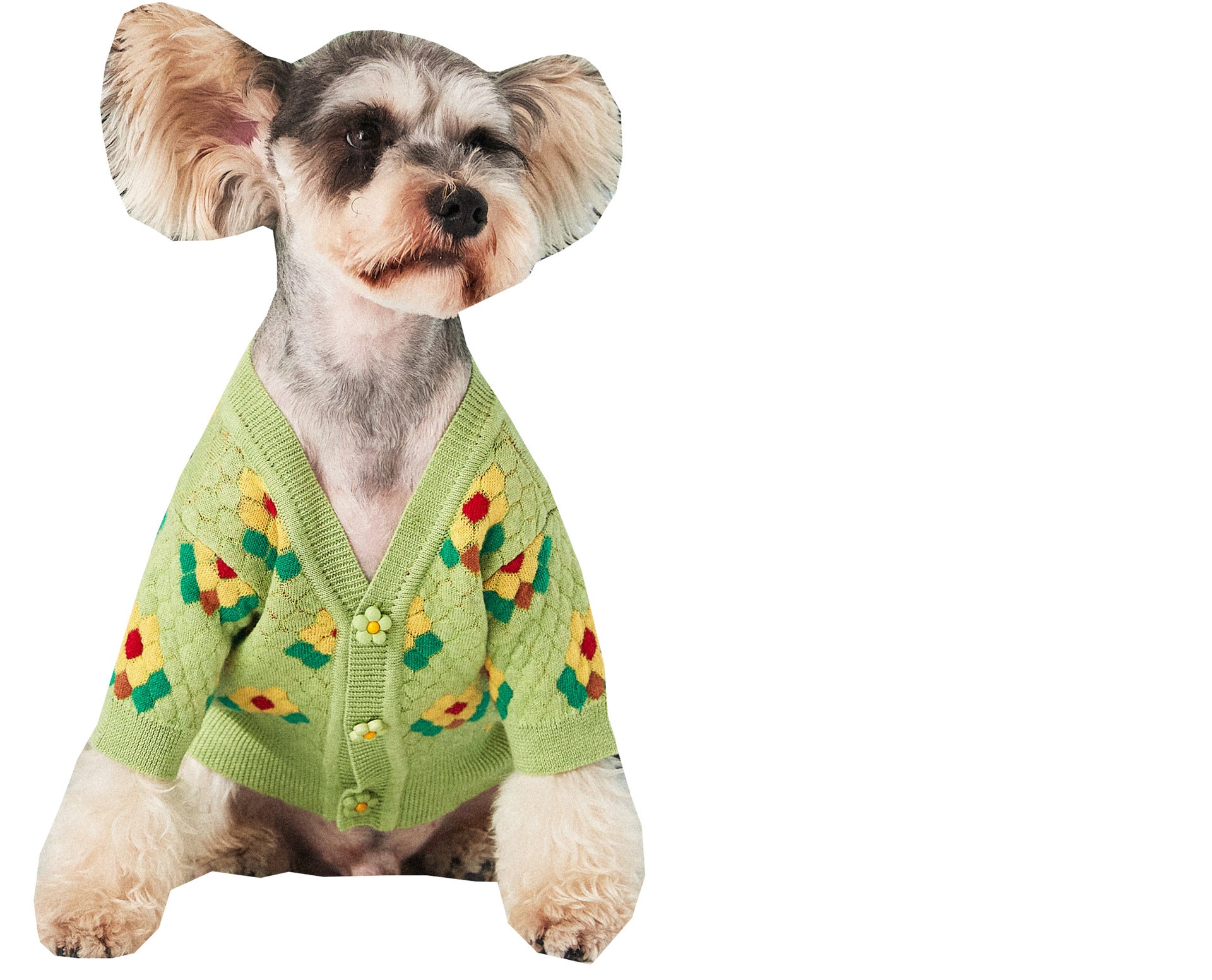 Floral Wool Dog Cardigan - Delicate Flower Detail Knitwear