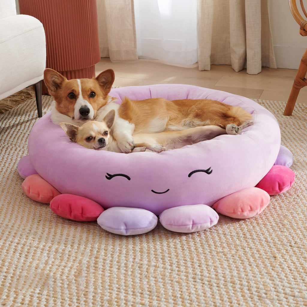 BellyRub Plush Round Dog Bed | Animals & Fruits Print | 65cm