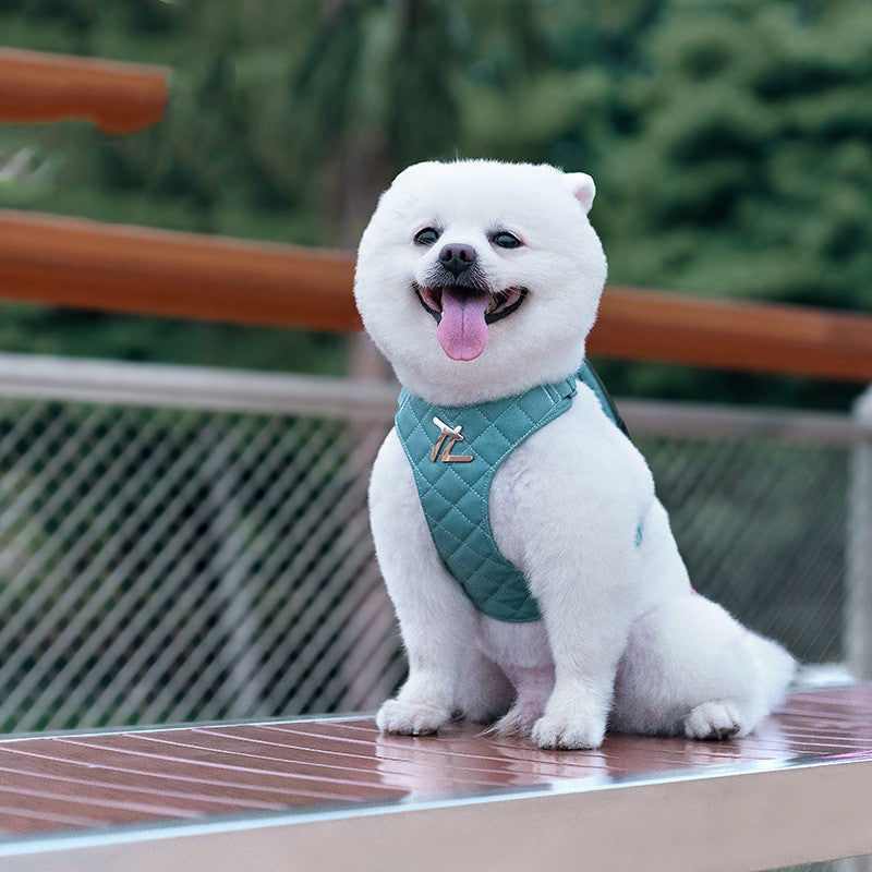 Dog Hand Holding Rope Chest Strap Small Dog Teddy Corgi