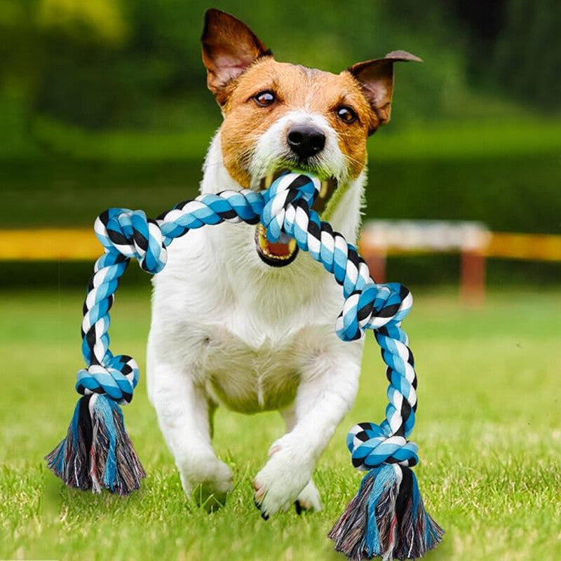 XXL Indestructible Cotton Rope Dog Toy – 5-Knot Tug & Chew Toy for Large Dogs | 36 Inch | Multicolour & Blue