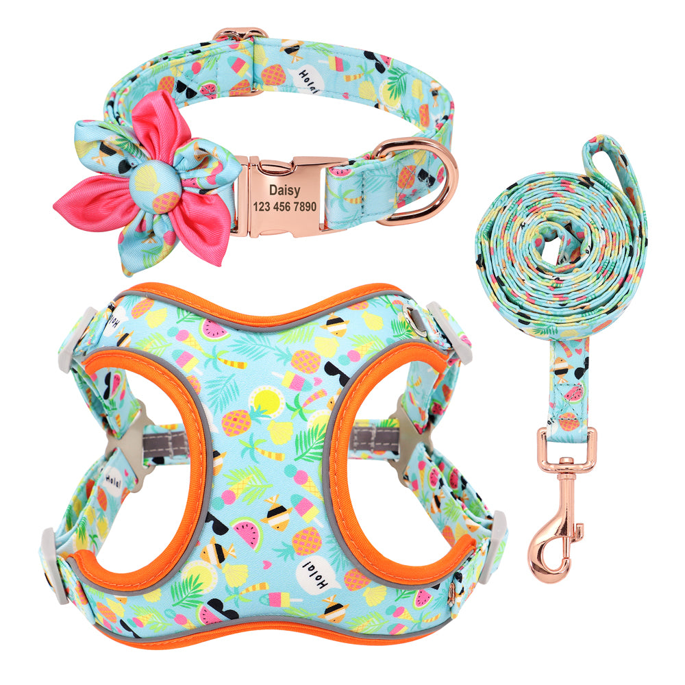 Colourful PupFruit Dog Collar & Leash Set