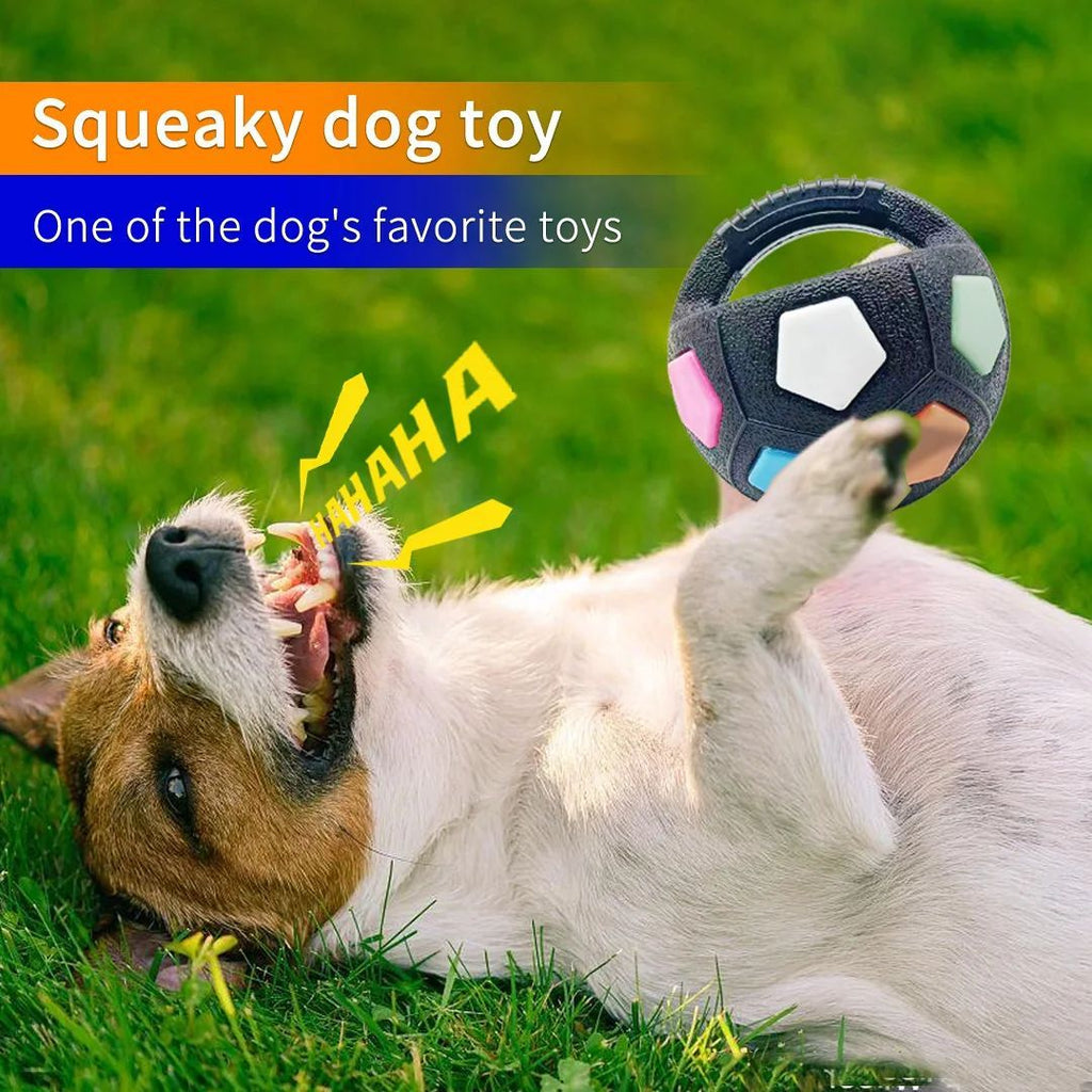 Crazy Ball Squeaky Dog Toy - Durable Teething & Training Toy for Medium to Large Dogs