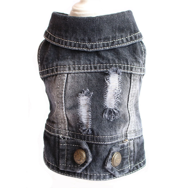 Designer Denim Dogwear