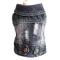 Designer Denim Dogwear