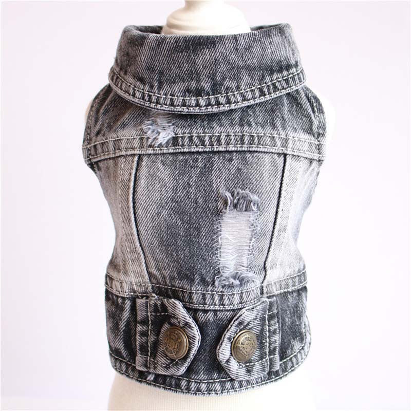 Designer Denim Dogwear