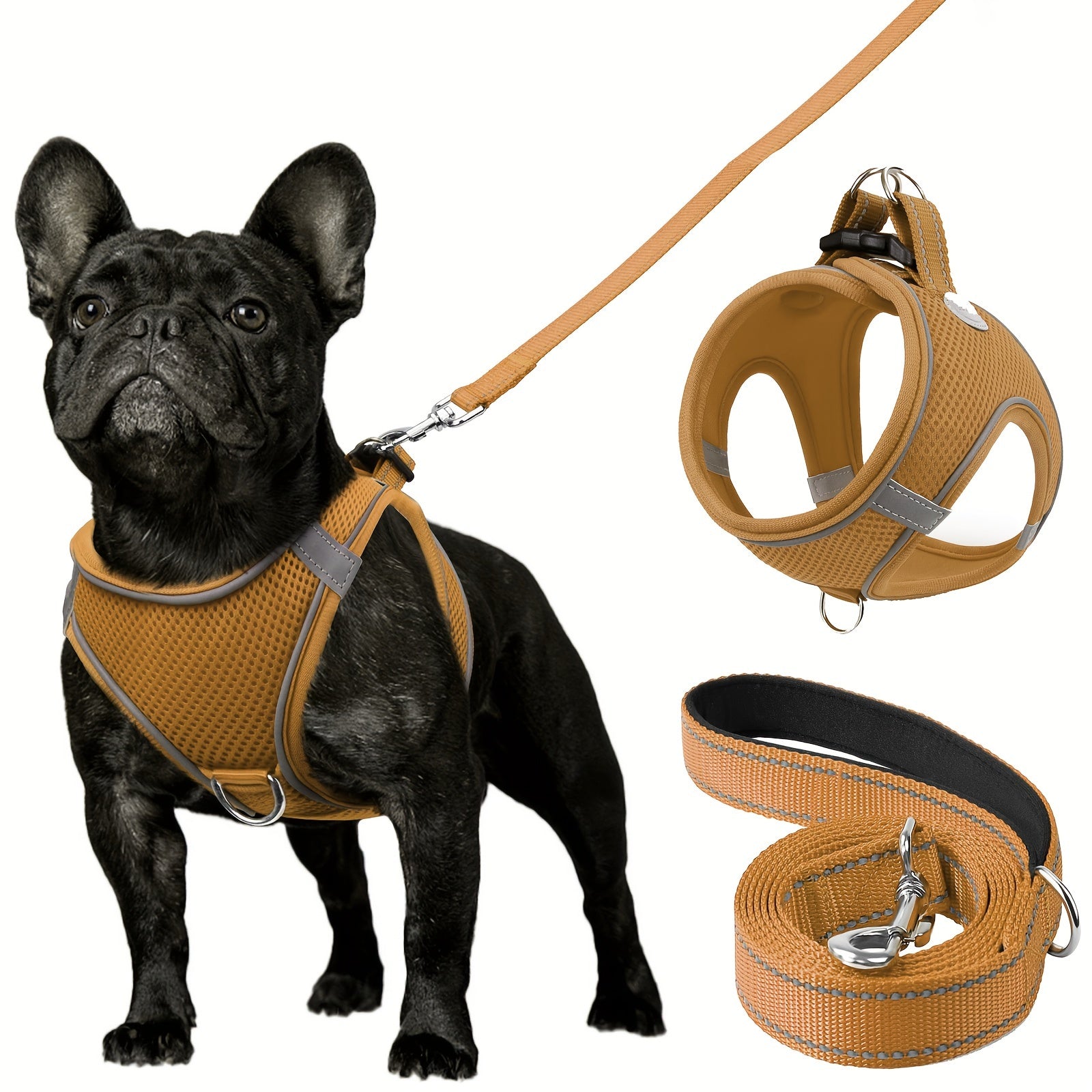 Joytale Step in Dog Harness and leash Set,Reflective Soft Padded Nylon Leash,Breathable Mesh Vest Harness and Leash for Small and Medium Dogs