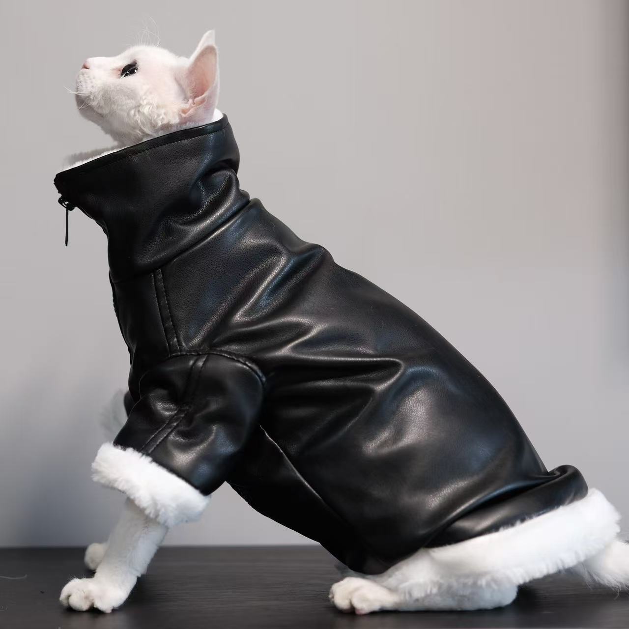 Thickened Coat Cat Apparel Sphynx Outfit