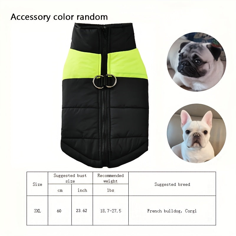 Waterproof And Windproof Fleece-Lined Dog Coat With Zipper For Small And Medium Digs, Cotton Filling, Polyester Shell, Adjustable Closure
